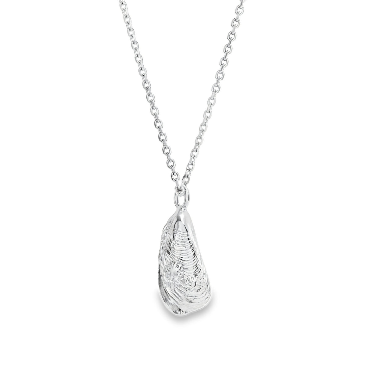 Silver Mussel Shell and Pearl Pendant 28 Inch Chain with an authentic mussel shell and pearl on a silver chain.