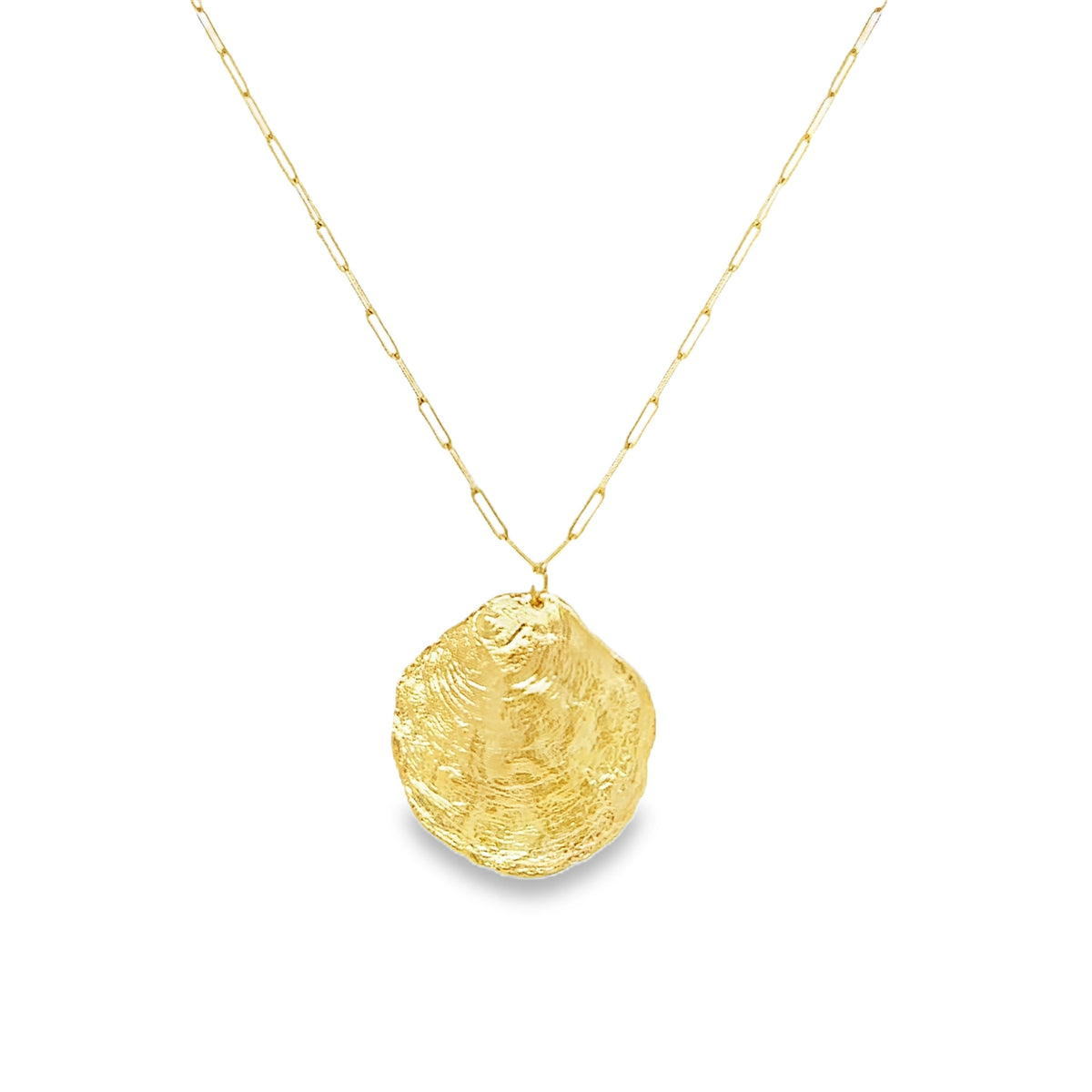 Gold shell coin pendant on a delicate paperclip chain, showcasing timeless elegance and sophistication.