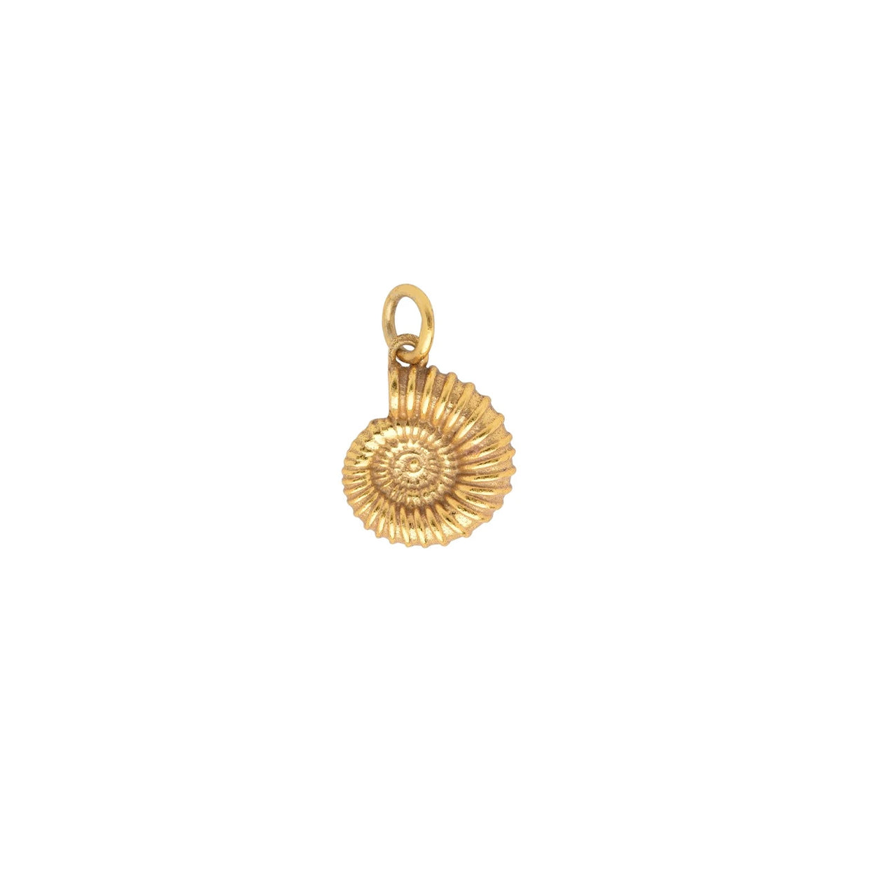 Ammonite Charm
