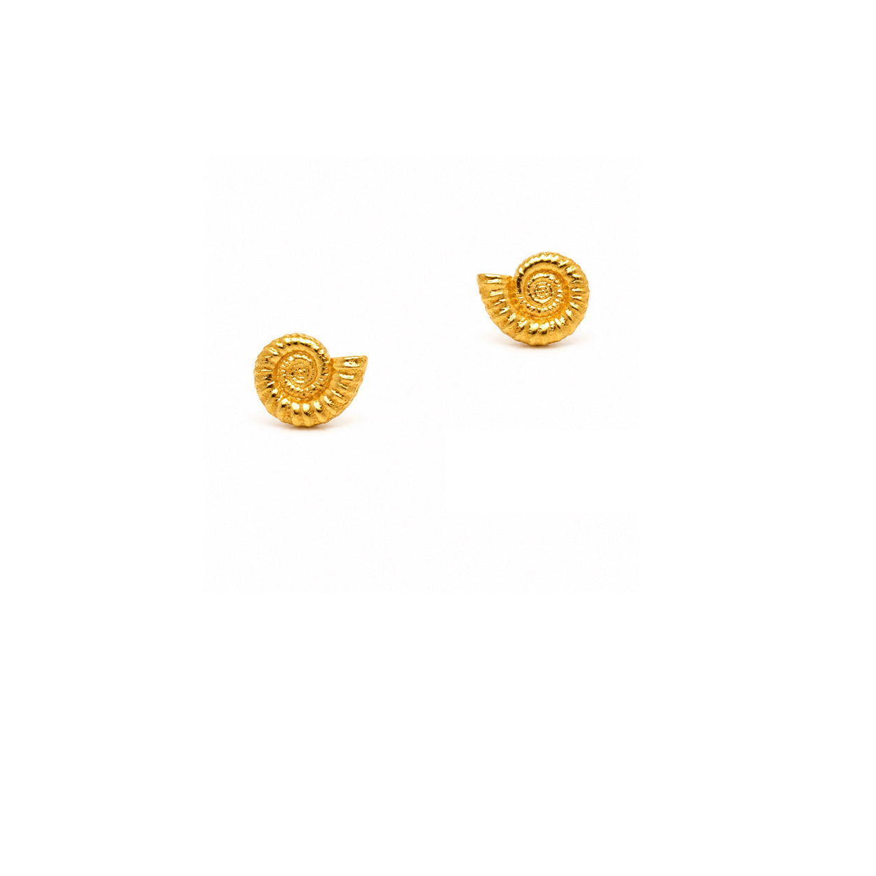 Gold Ammonite Stud Earrings