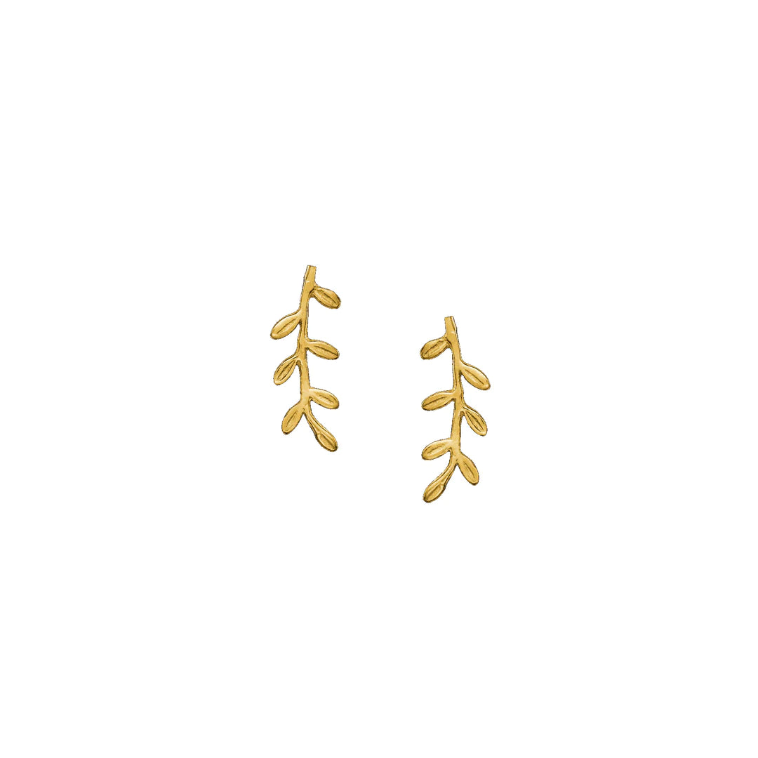 18ct gold plated silver ask leaf climber earrings 