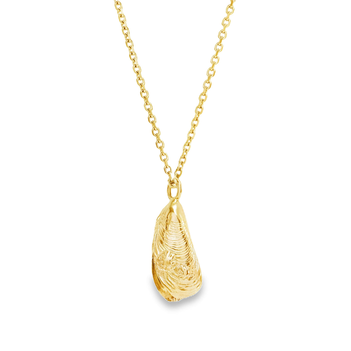 Gold Mussel Shell and Pearl Pendant 28 Inch Chain on a delicate gold chain, showcasing its unique design.