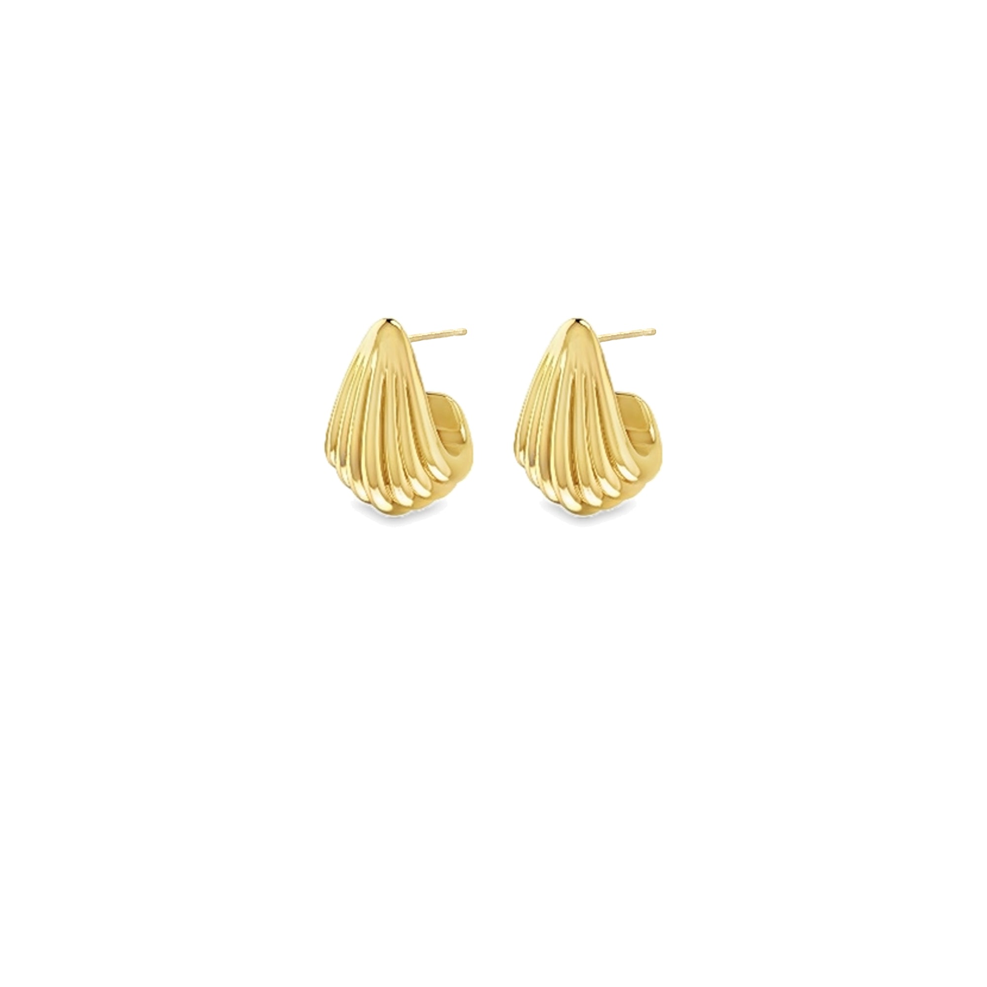 Ribbed Shell Drop Earrings