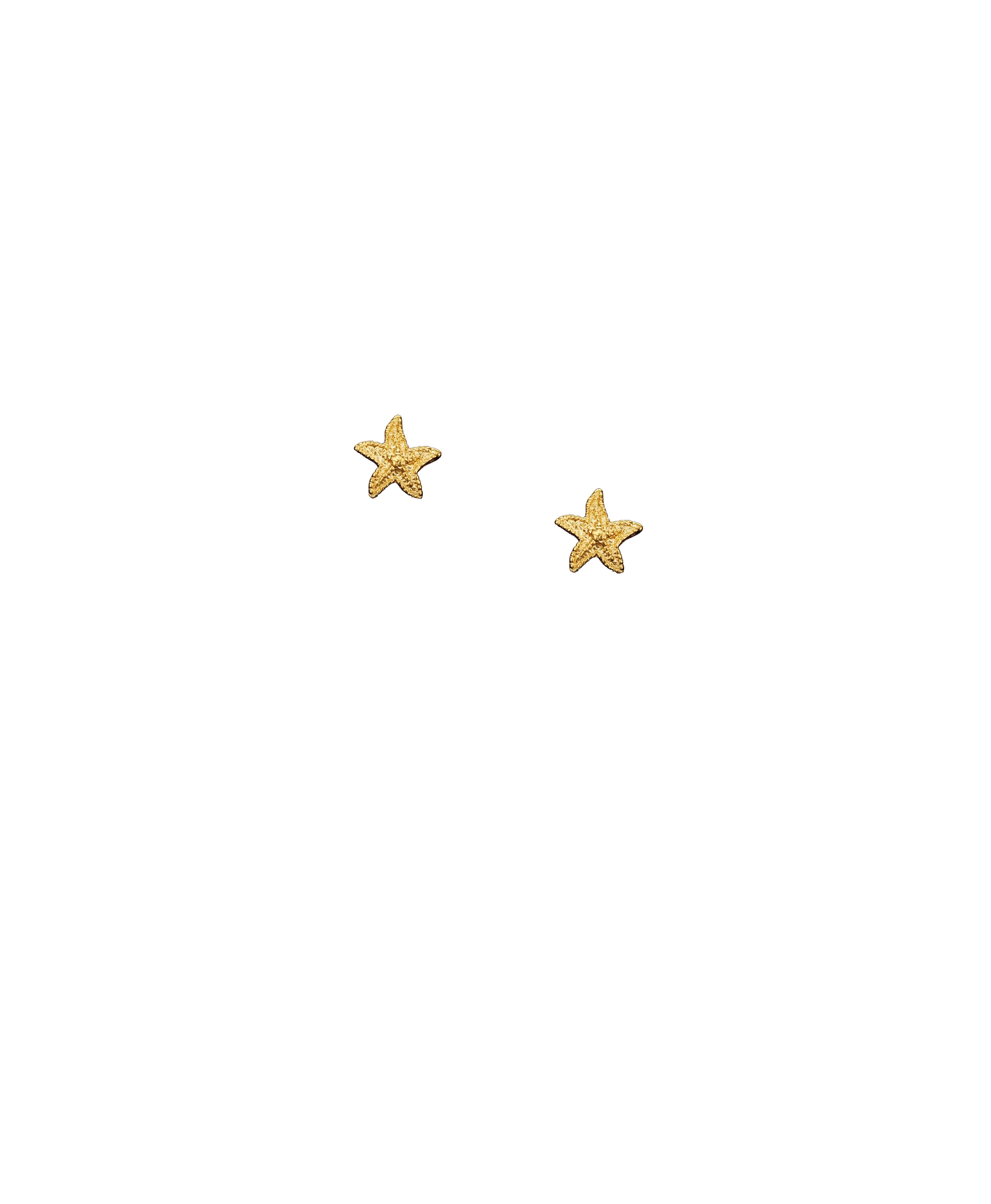 Starfish Stud Earrings