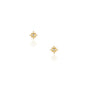Gold Starry Night Stud Earrings featuring sparkling cubic zirconia stones in a delicate gold star design.