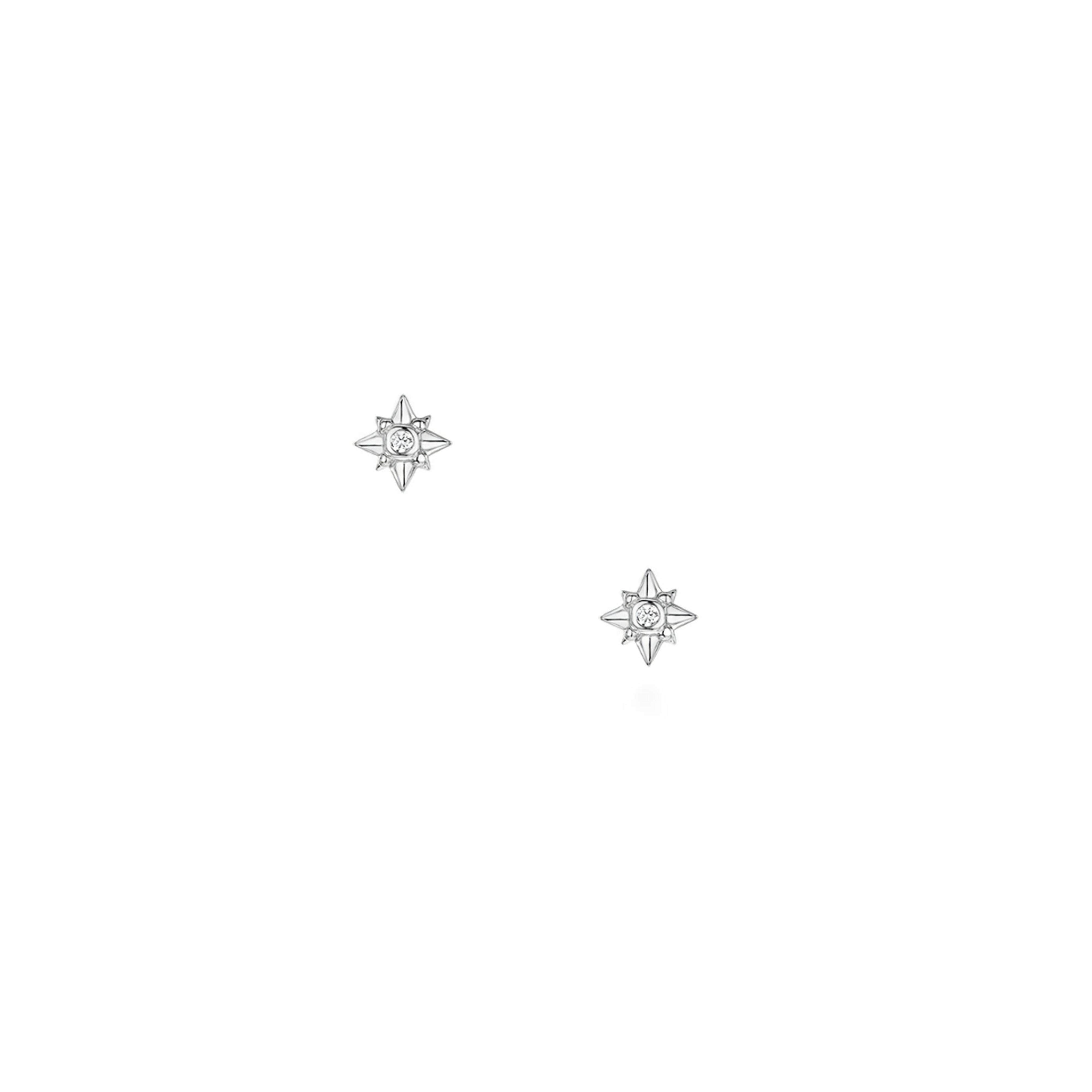 Starry Night Stud Earrings