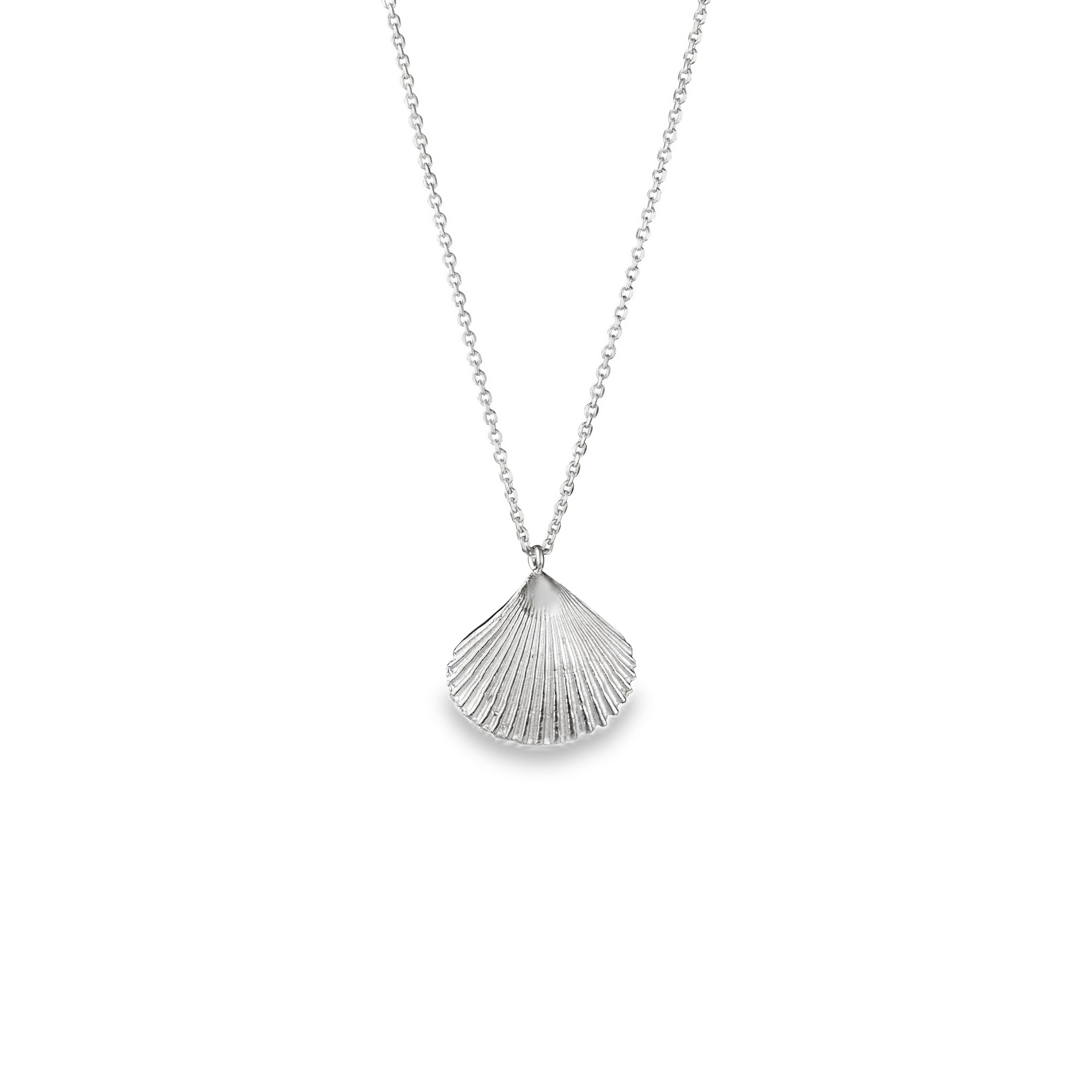 Shell Pendant