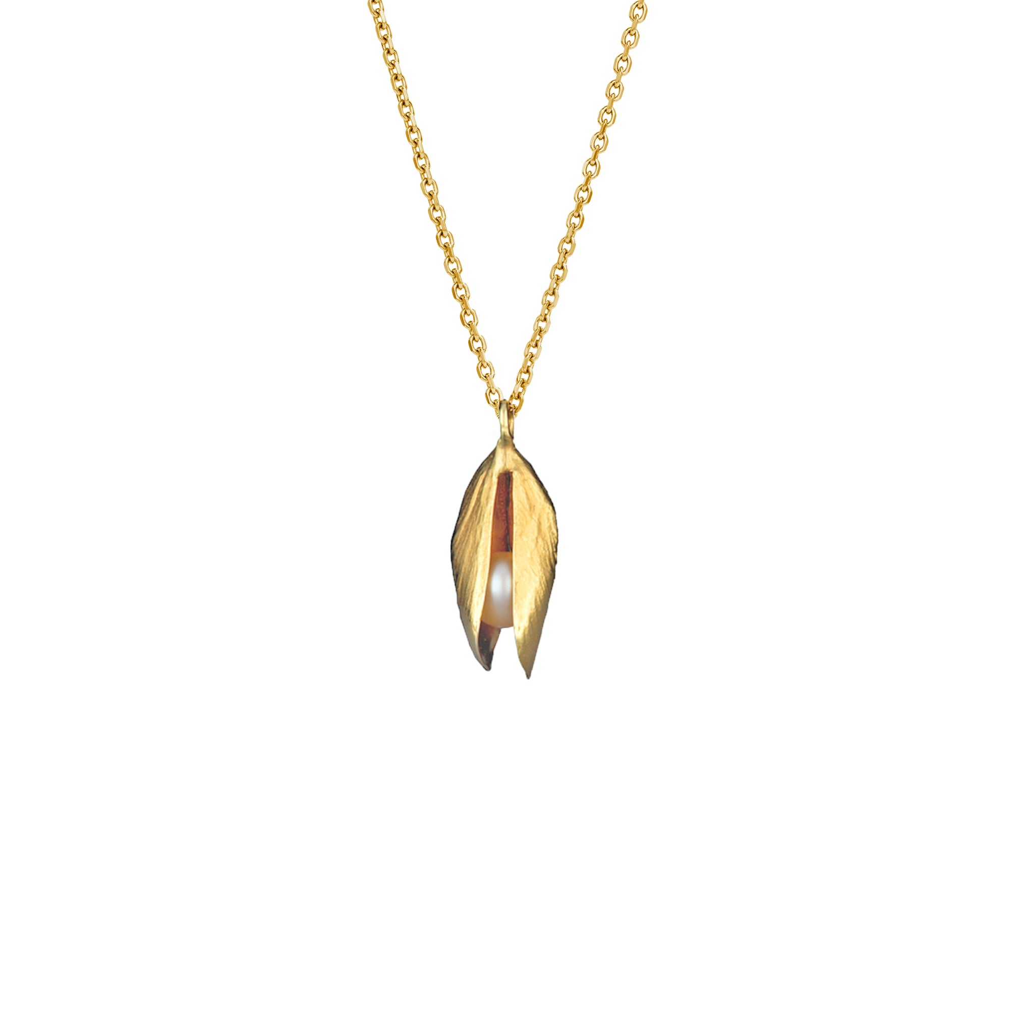 Gold mussel shell and pearl pendant on an 18 inch chain, showcasing a lustrous white pearl.